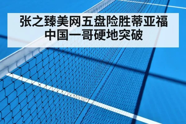 张之臻美网五盘险胜蒂亚福 中国一哥硬地突破 - j9 game